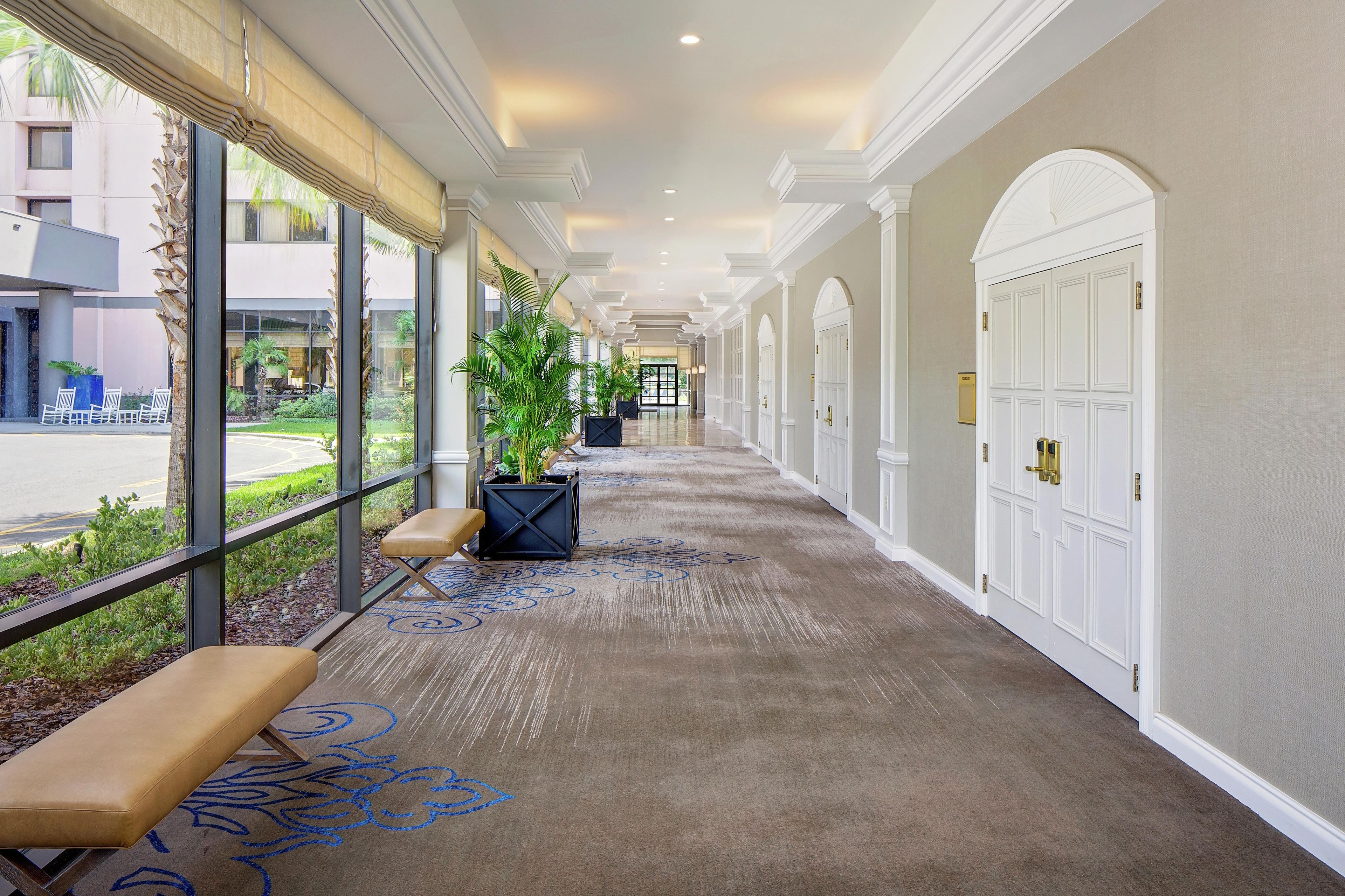 A hotel corridor with a carpeted floor, benches, potted plants, and a view of the outside.