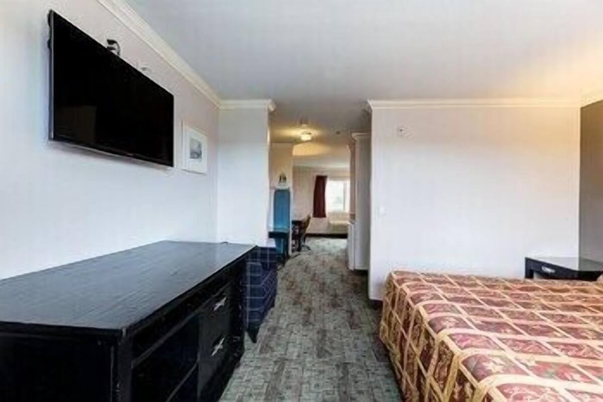 A hotel room with a bed, a desk, a television, and a carpeted floor.