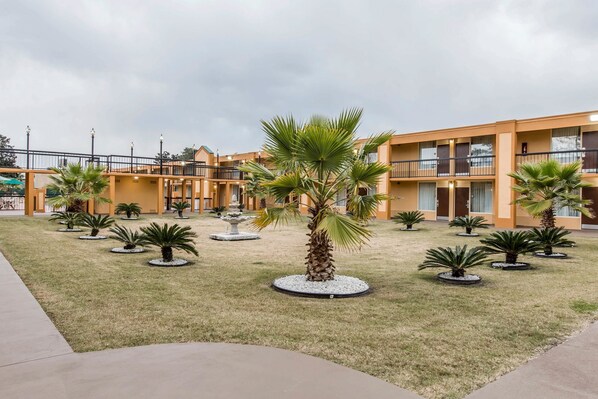 A courtyard with a building featuring multiple balconies and a central palm tree.