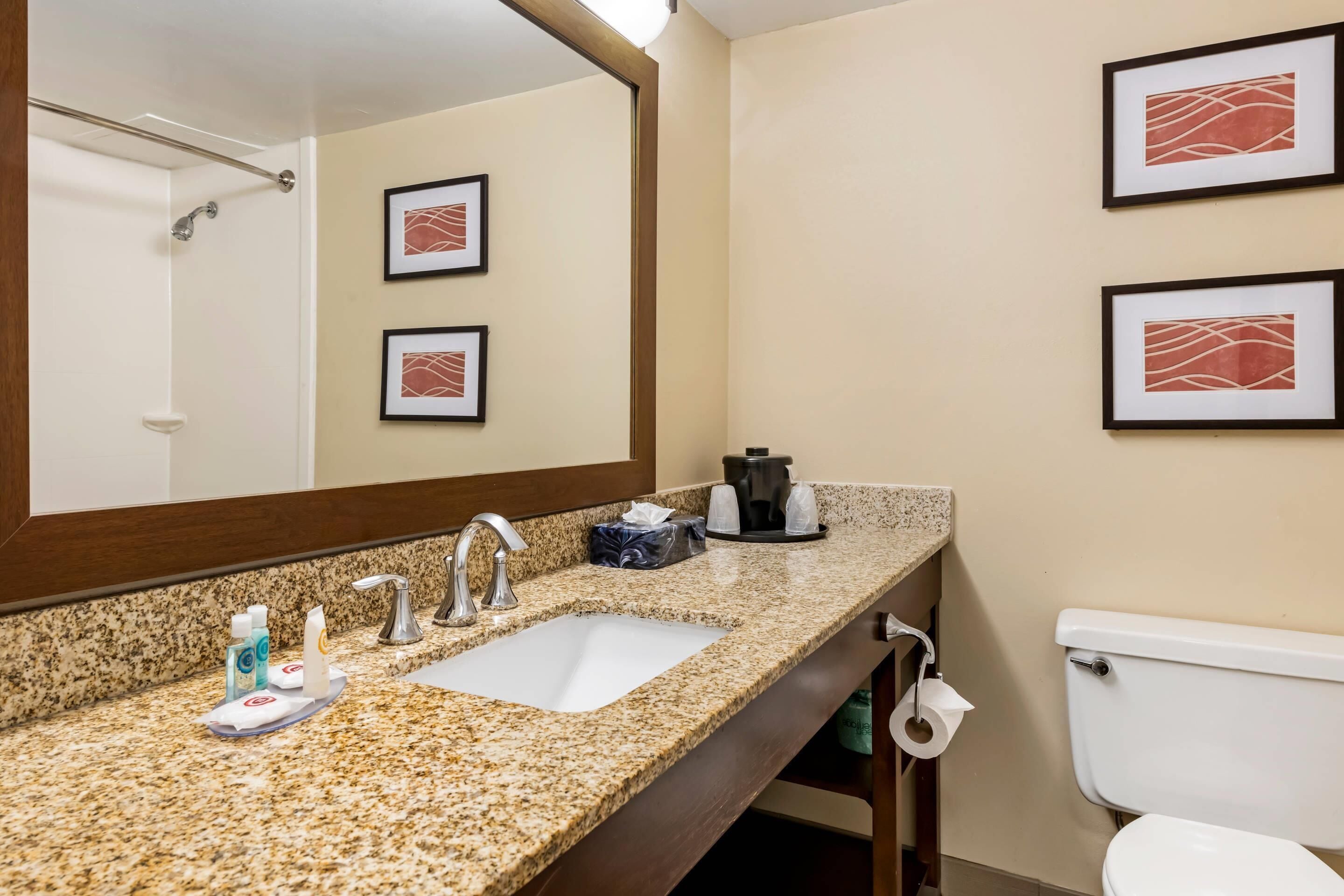 Photo - Comfort Inn MSP Airport - Mall of America