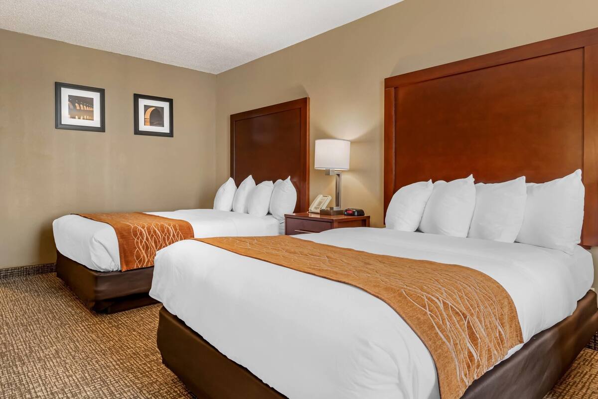 A hotel room with two beds, a nightstand with a lamp, and framed pictures on the wall.