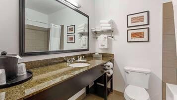 A modern bathroom with a granite countertop sink, a large mirror, a toilet, and two framed pictures on the wall.