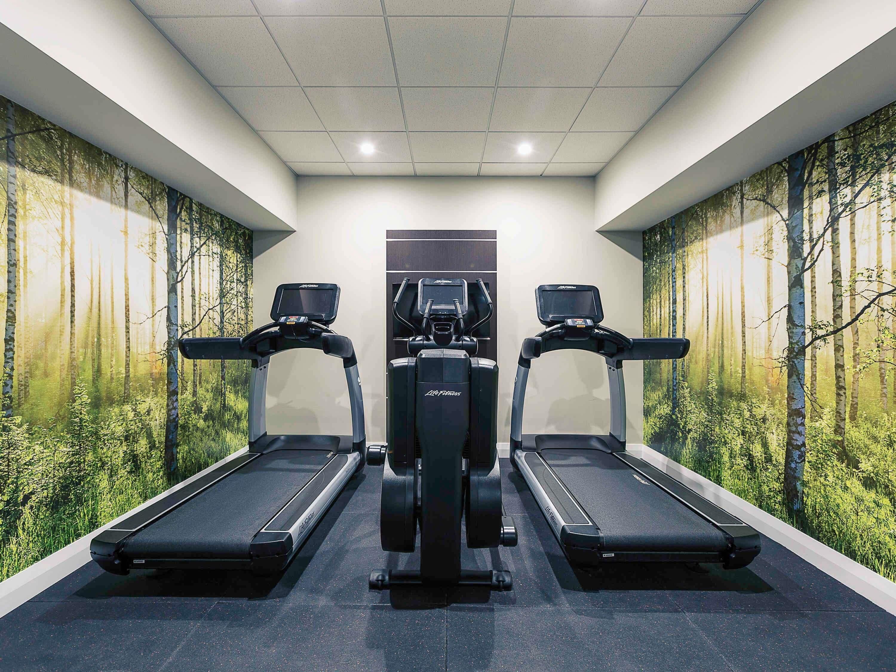 A gym with two treadmills and a stationary bike, surrounded by forest-themed murals.
