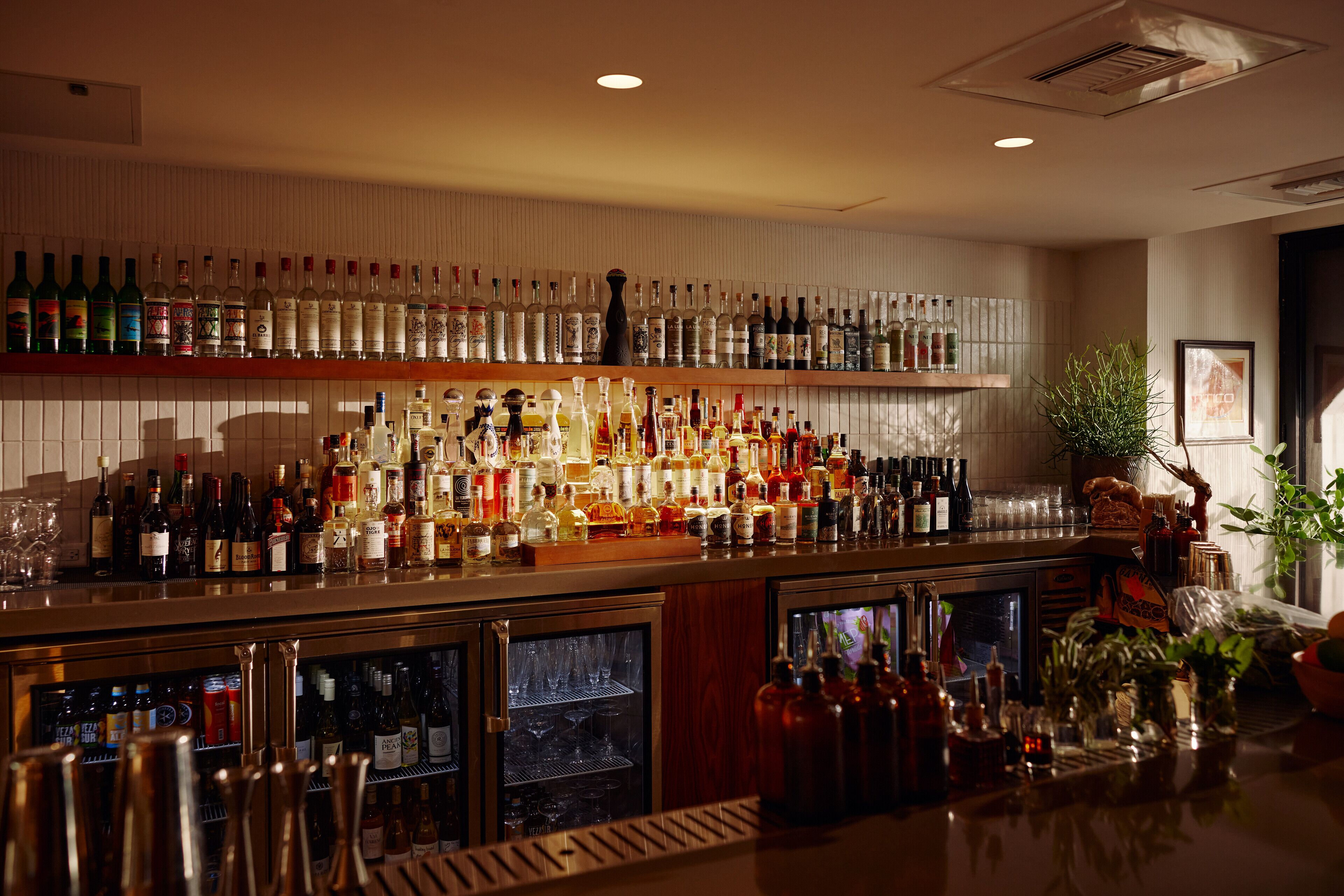 A bar area with shelves of various liquor bottles and glasses, a refrigerated section, and a potted plant.