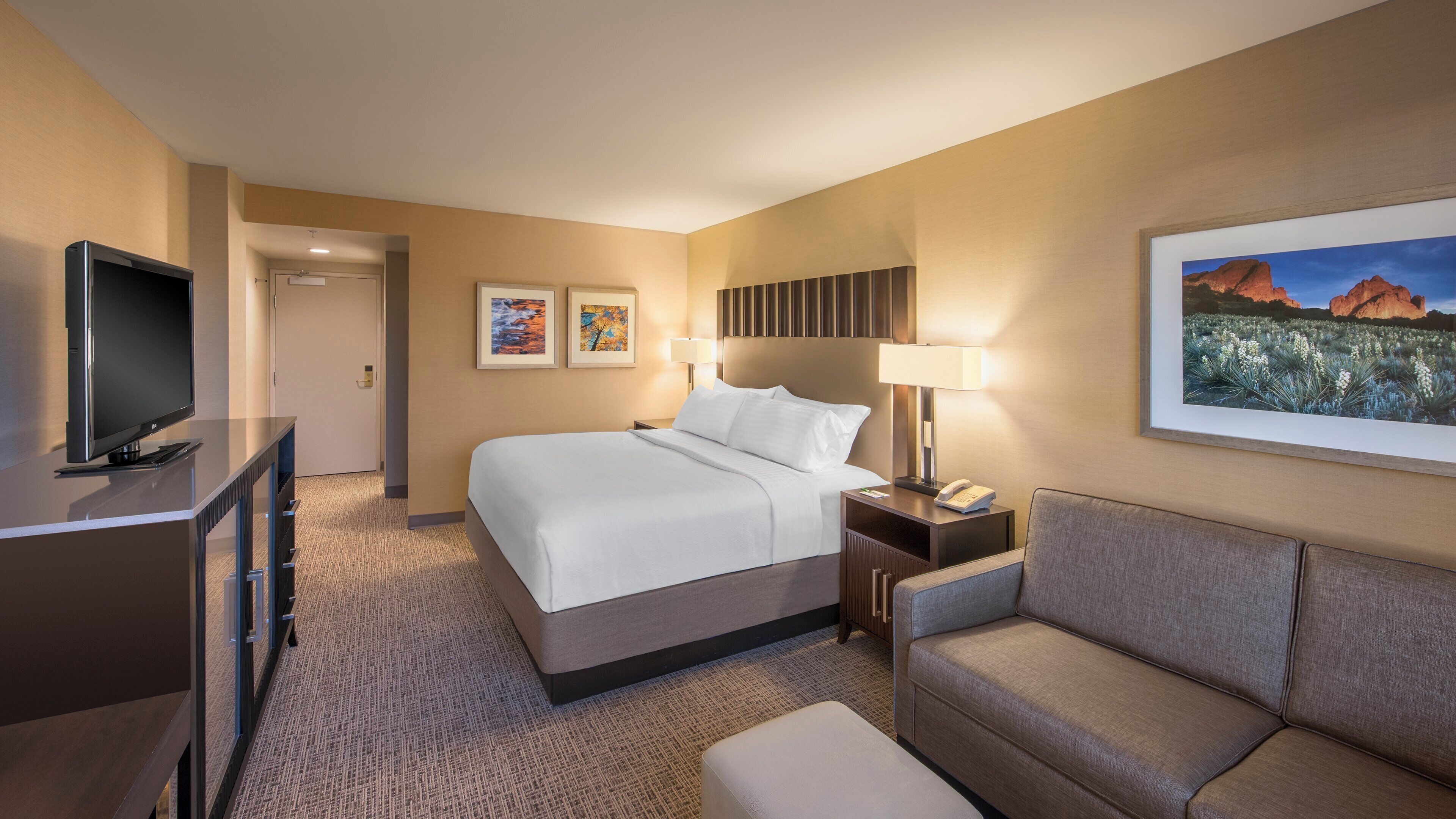 Une chambre d’hôtel avec un lit, une télévision, un bureau, une lampe, un canapé et un tableau au mur.