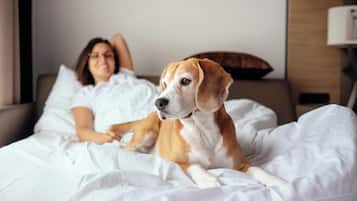 A person lying in bed with a dog.