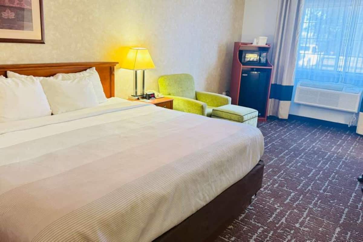 room, 1 king bed, accessible, non smoking | desk, blackout curtains, iron/ironing board, free cots/infant beds