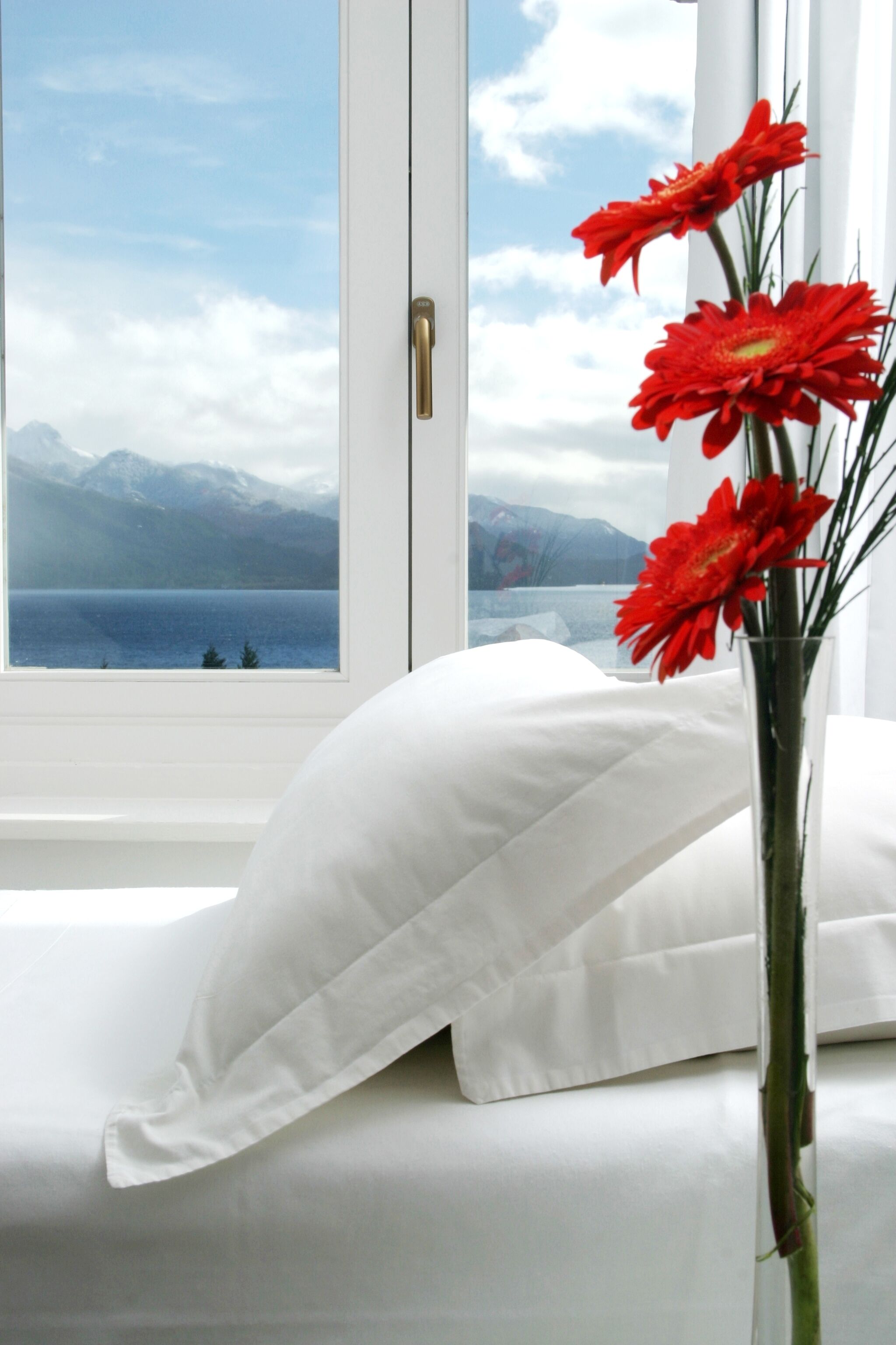 Decoración personalizada, muebles diferentes y cortinas blackout 