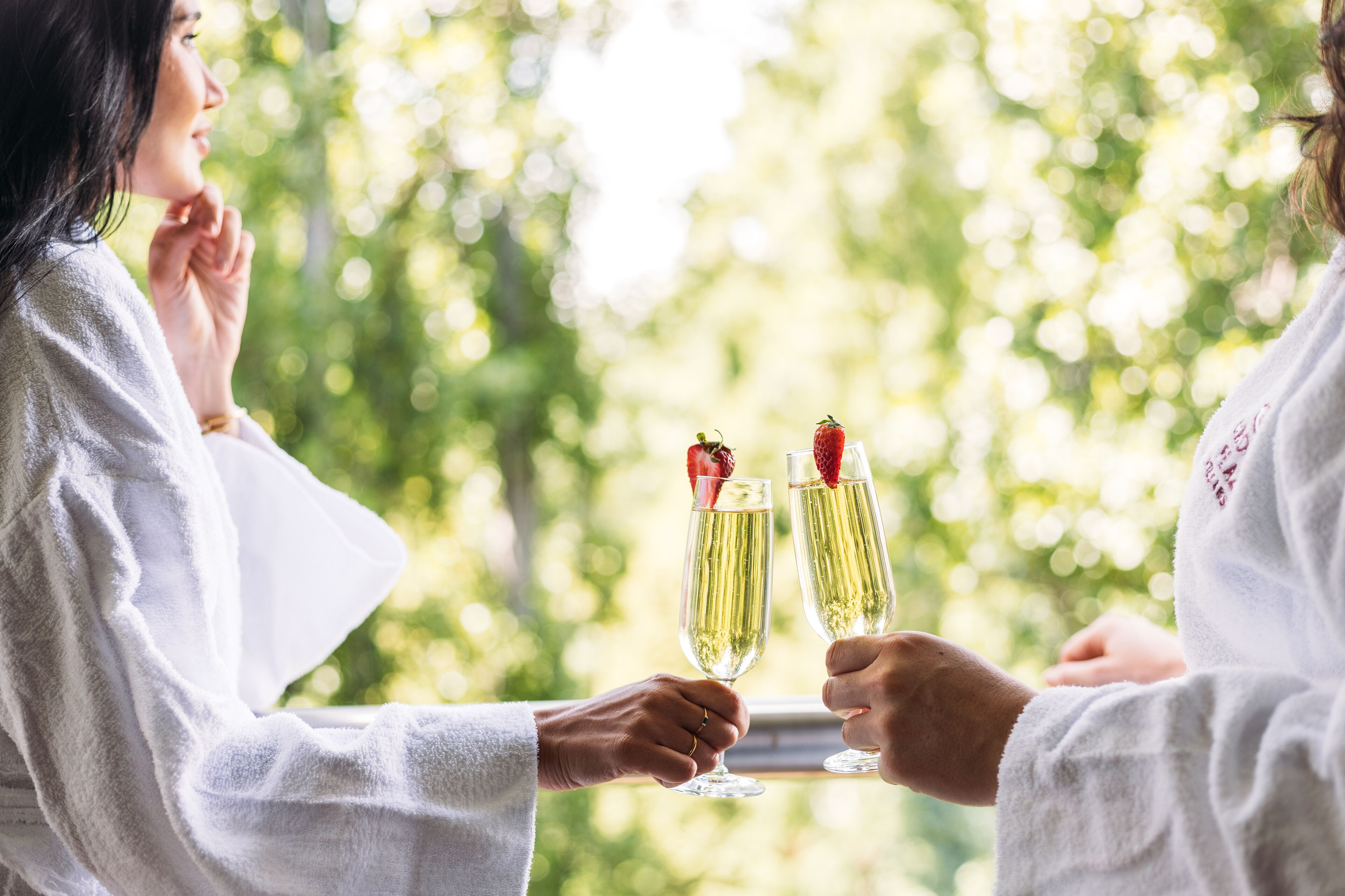 To personer skåler med champagneglas, hver pyntet med et jordbær, i et rum med et vindue der udover grønne omgivelser.