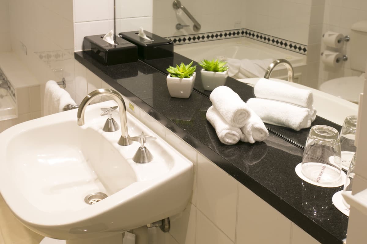 free toiletries, hair dryer, bathrobes, towels