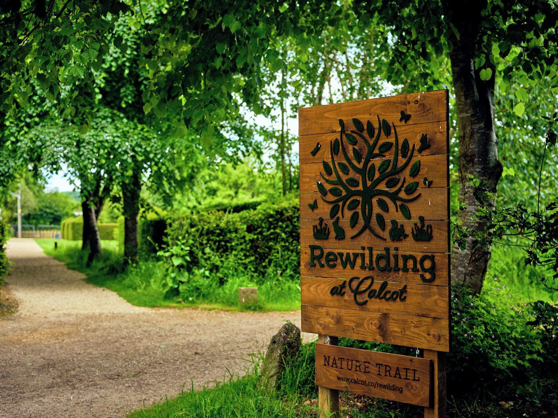 A wooden sign with a tree design and text indicating a nature trail at Calcot.