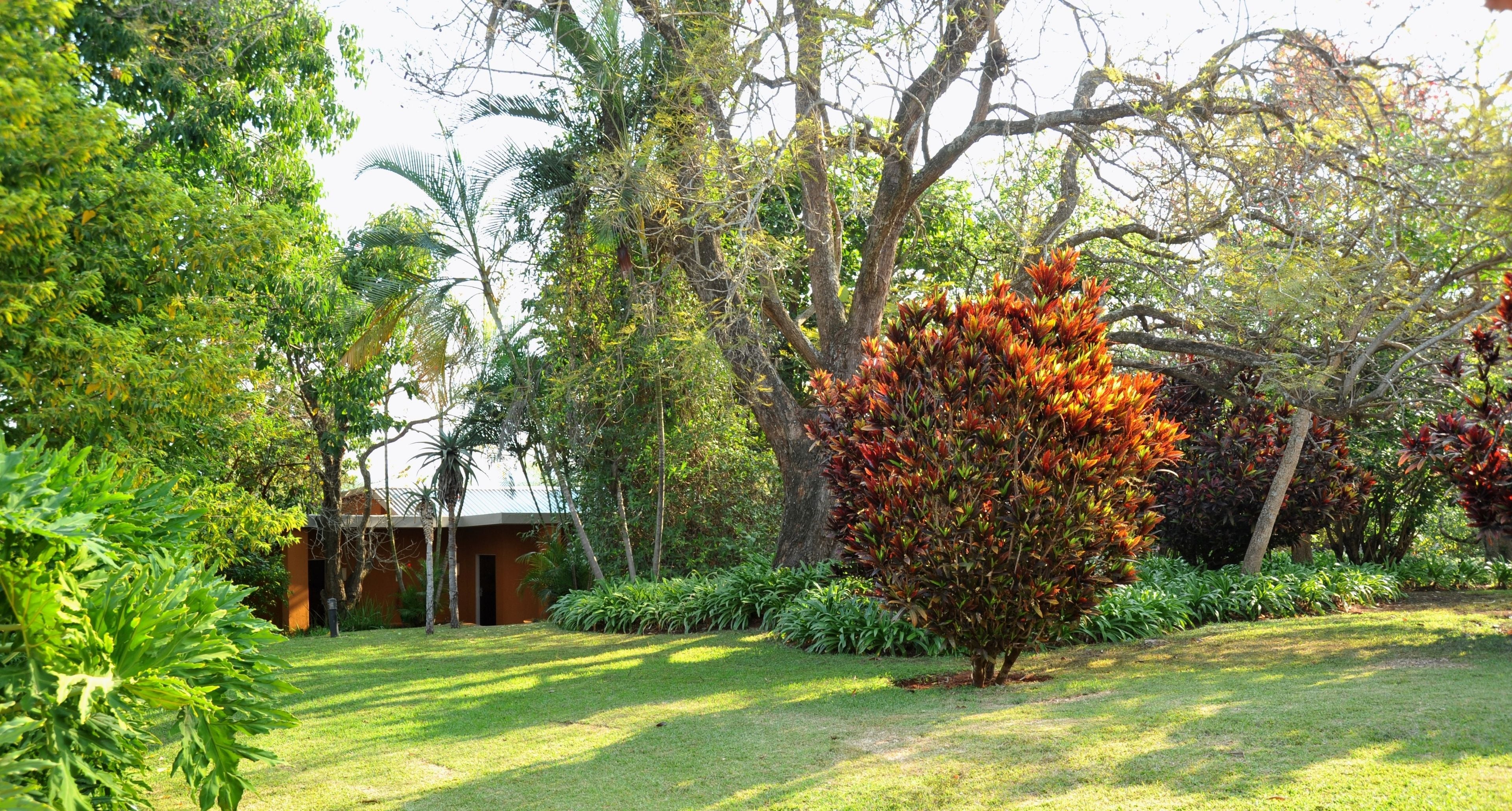 Zimmer, 2 Queen-Betten | Ausblick vom Zimmer