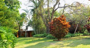 Room, 2 Queen Beds | View from room