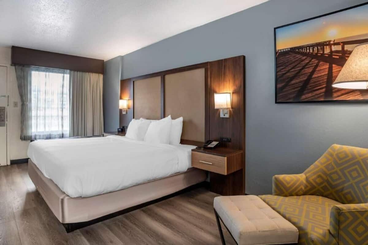 A hotel room with a large bed, bedside lamps, a chair, and a wall-mounted TV.