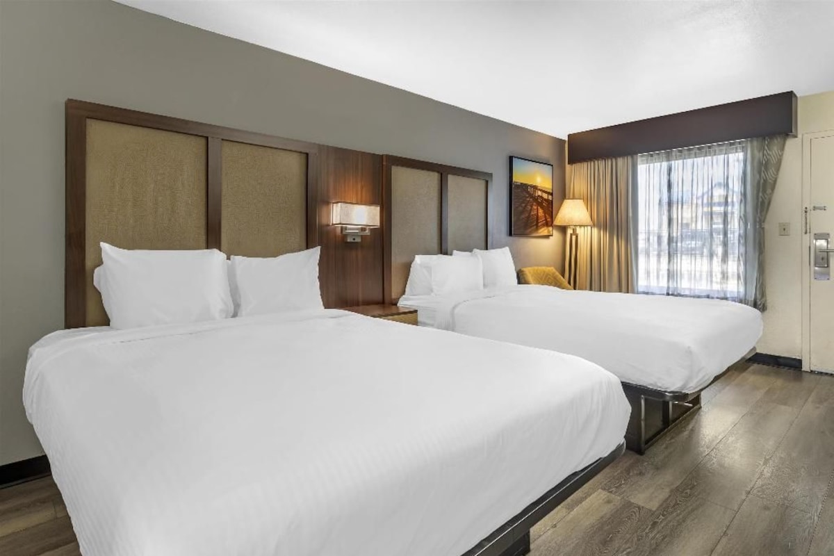 Habitación de hotel con dos camas, una mesita de noche, una lámpara, un cuadro y una ventana con cortinas.