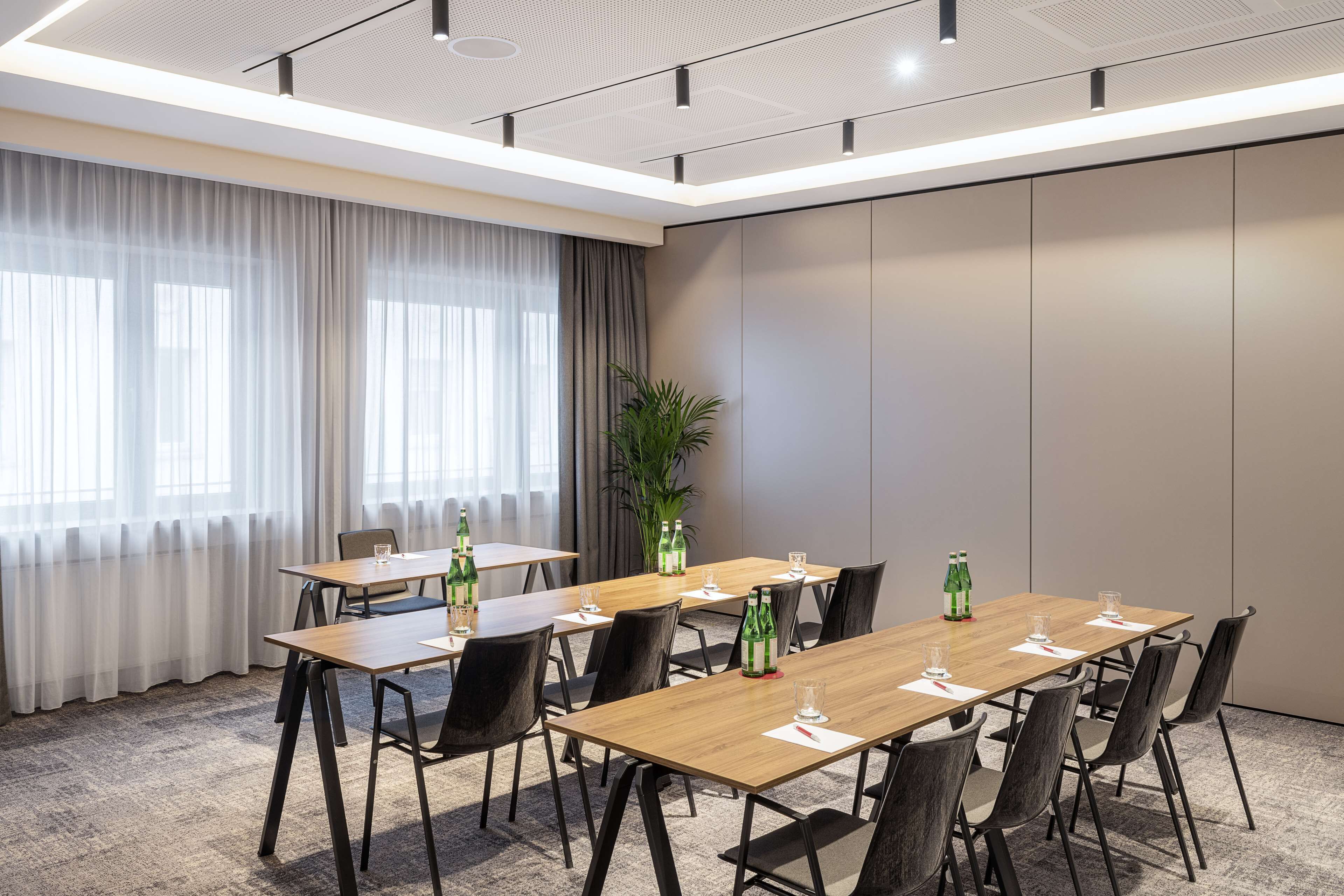 A conference room with a long table, chairs, and a potted plant.