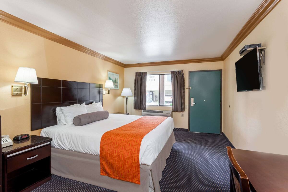 A hotel room with a bed, bedside table, lamp, and a television mounted on the wall.