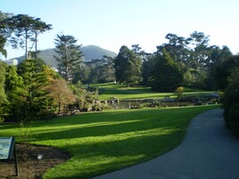 Park view