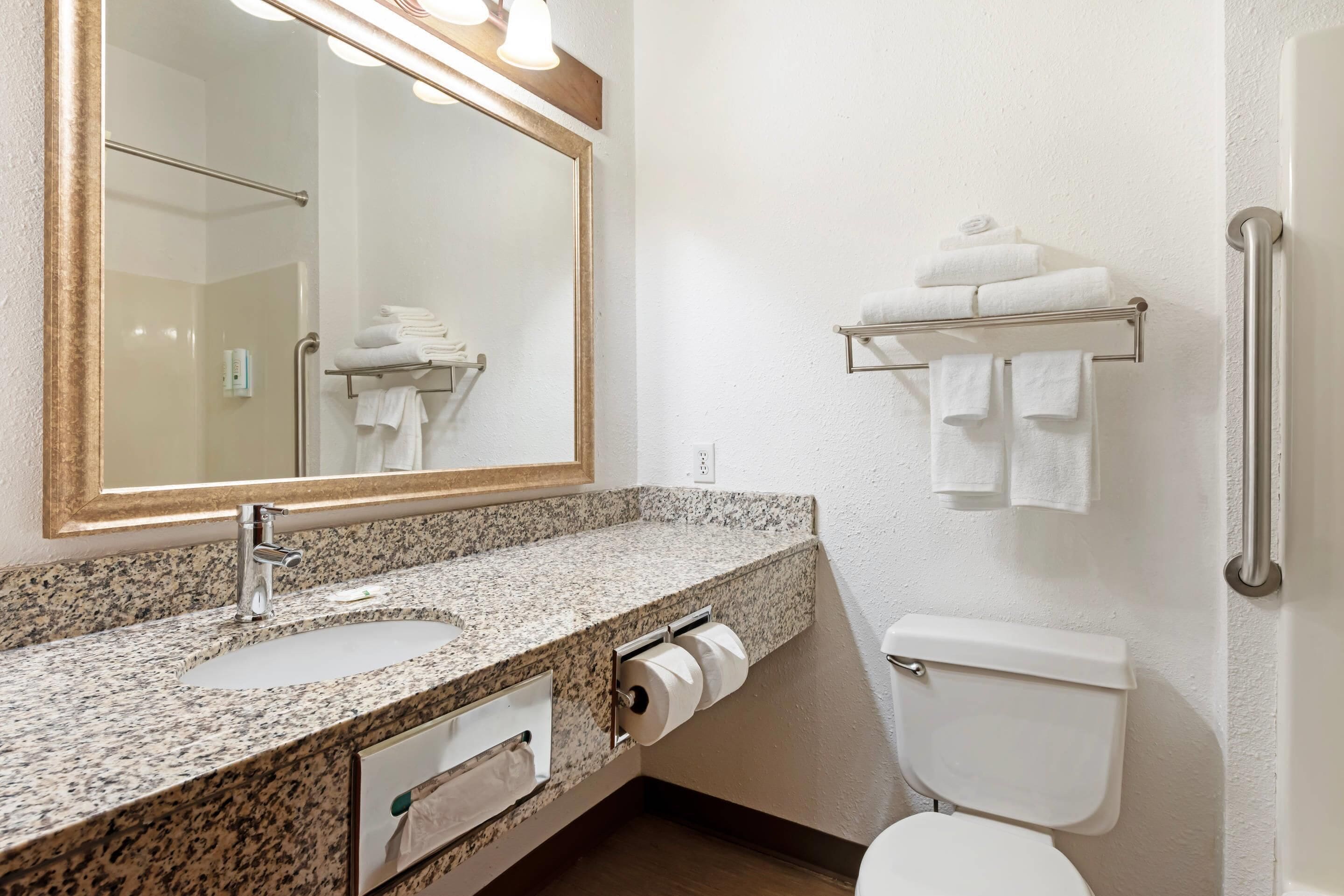 Une salle de bain avec un comptoir en granit, un lavabo, des toilettes, un miroir et des porte-serviettes.