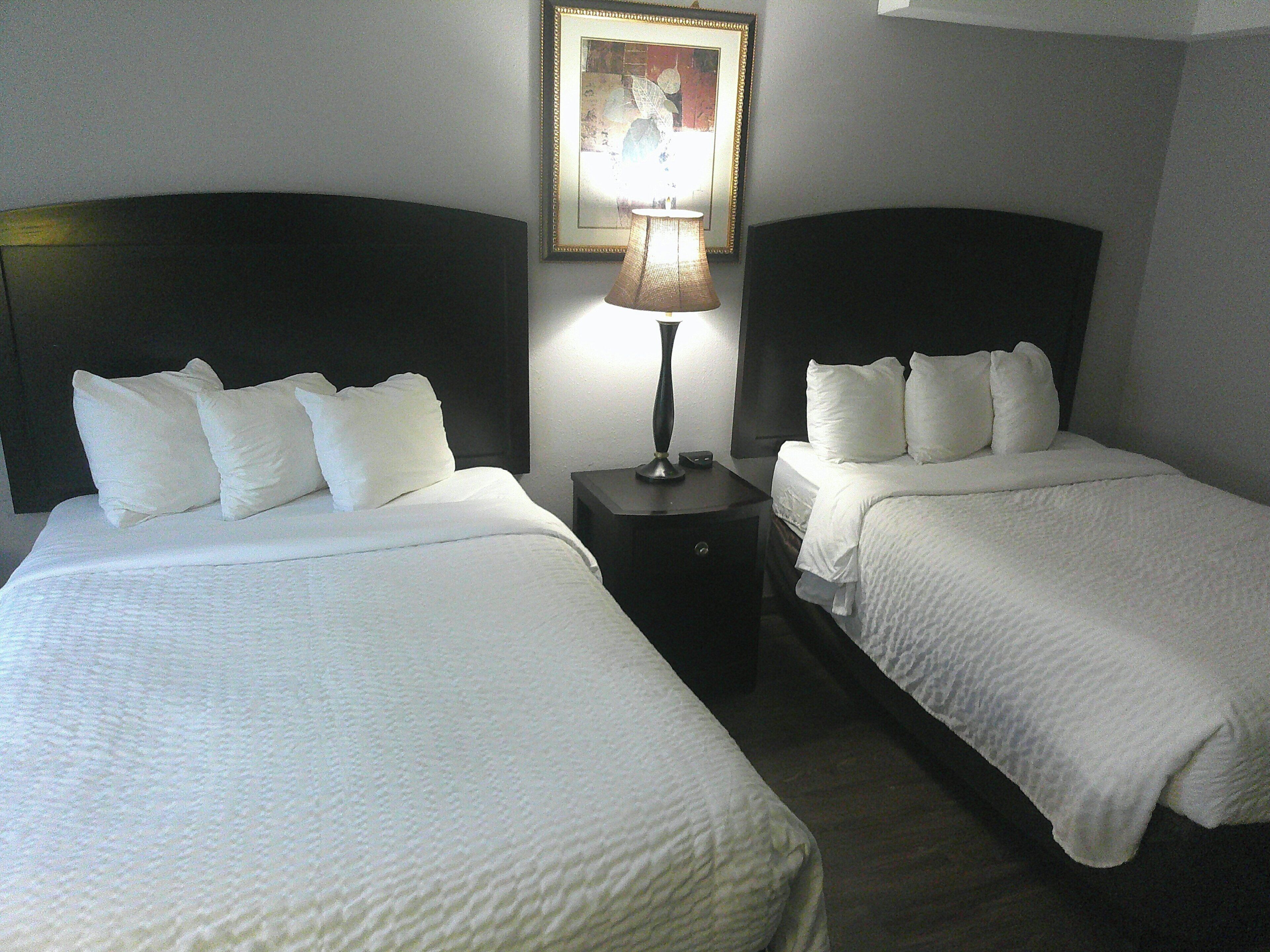 Habitación de hotel con dos camas, una mesita de noche con lámpara y un cuadro en la pared.