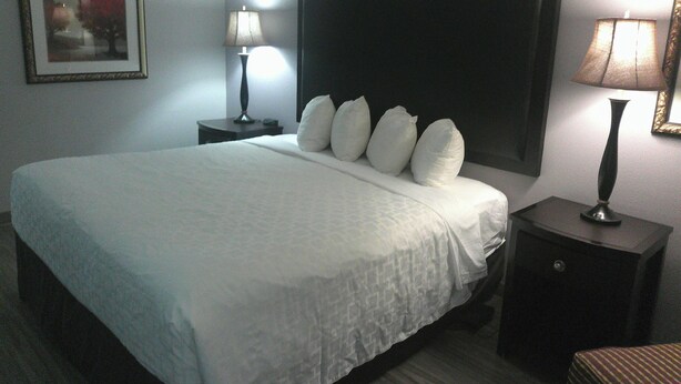 Room - Carradoc Hall Hotel & Conference Center - Leesburg by The Red Collection  (Leesburg)