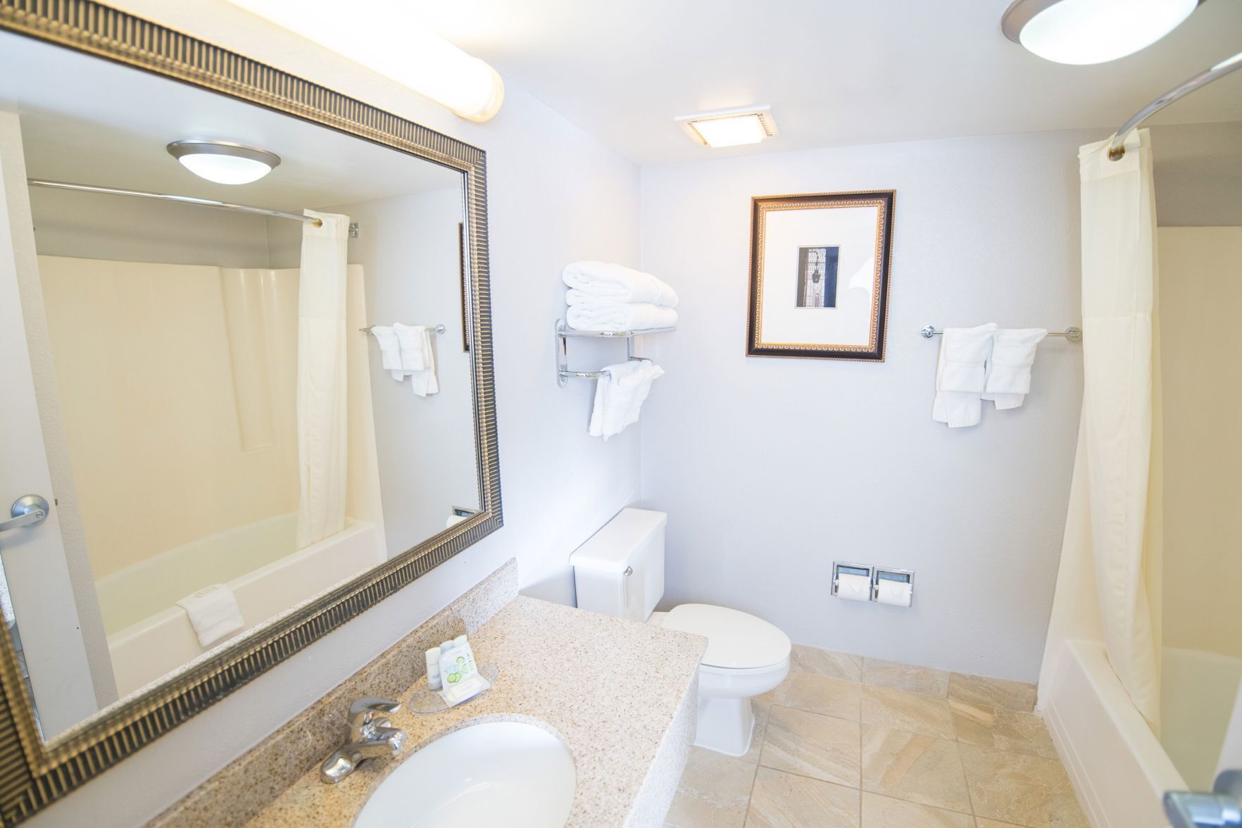 Bathroom | Combined shower/tub, free toiletries, hair dryer, towels