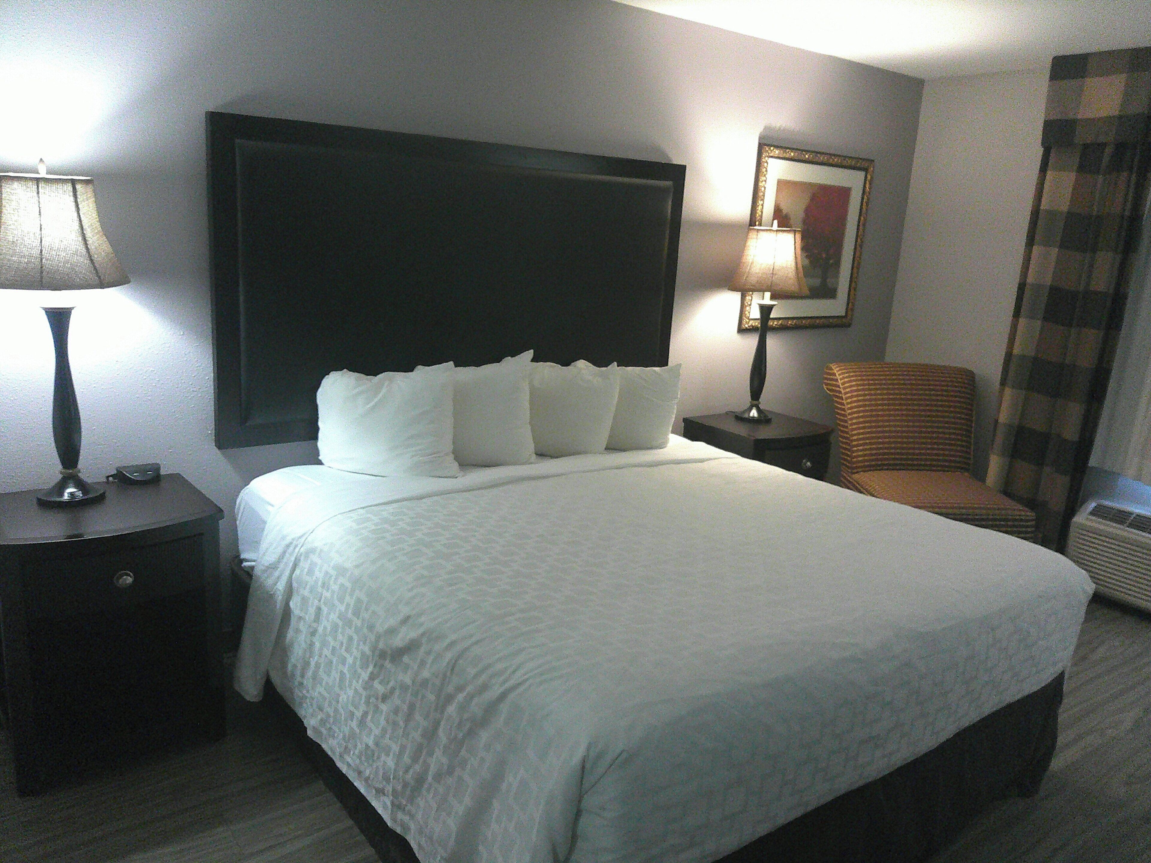 Superior Room, 1 King Bed, Non Smoking | Desk, laptop workspace, blackout drapes, iron/ironing board