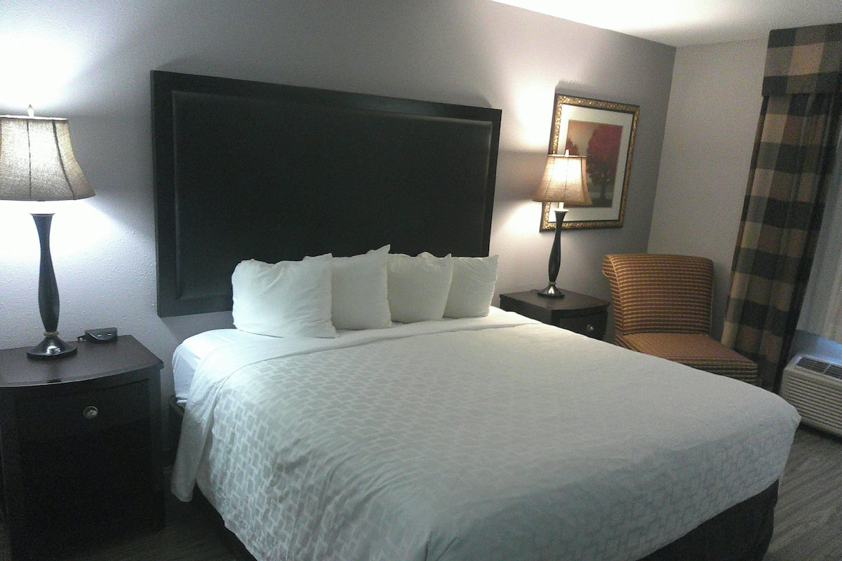 Superior-rum - 1 kingsize-säng - icke-rökare | Skrivbord, arbetsyta för laptop och mörkläggningsgardiner