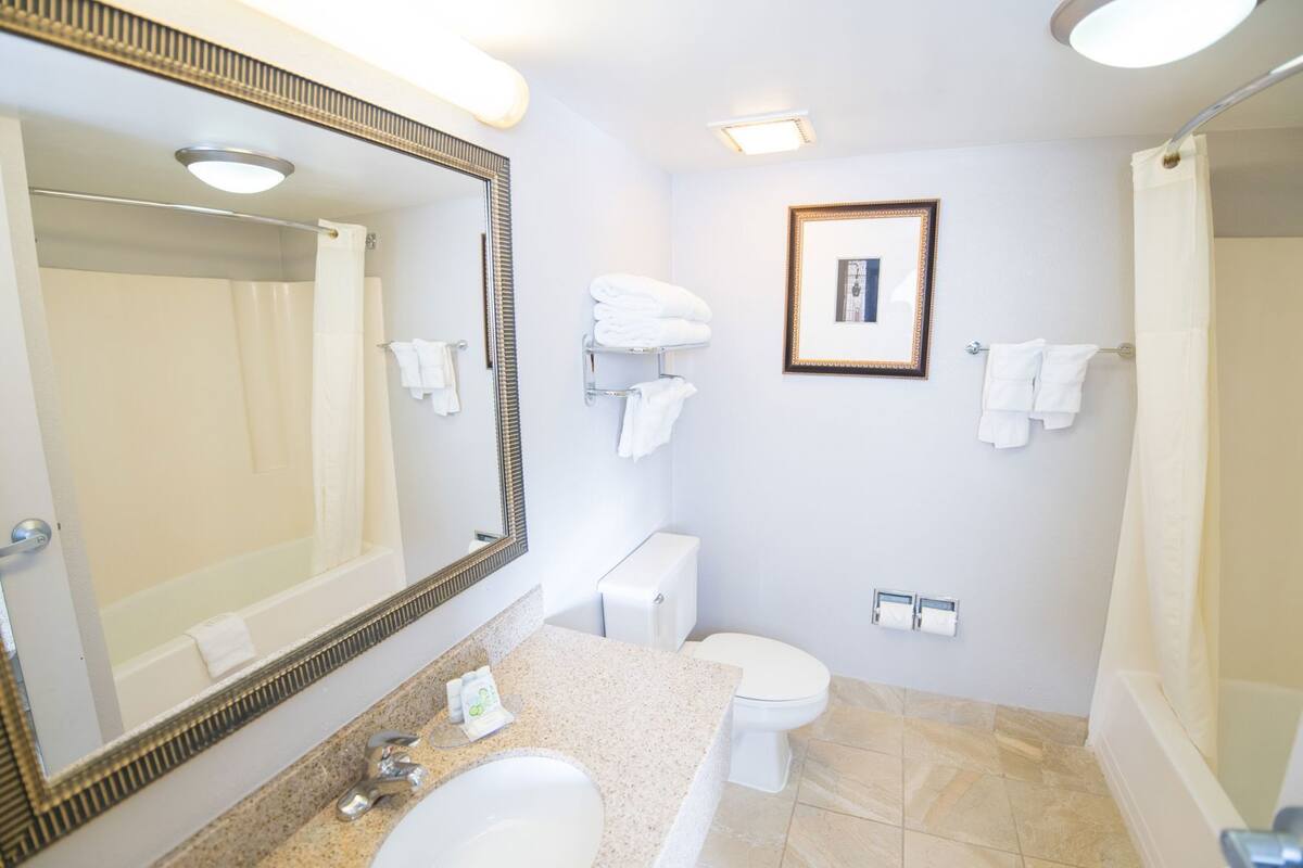 A bathroom with a large mirror, a sink, a toilet, and a shower.