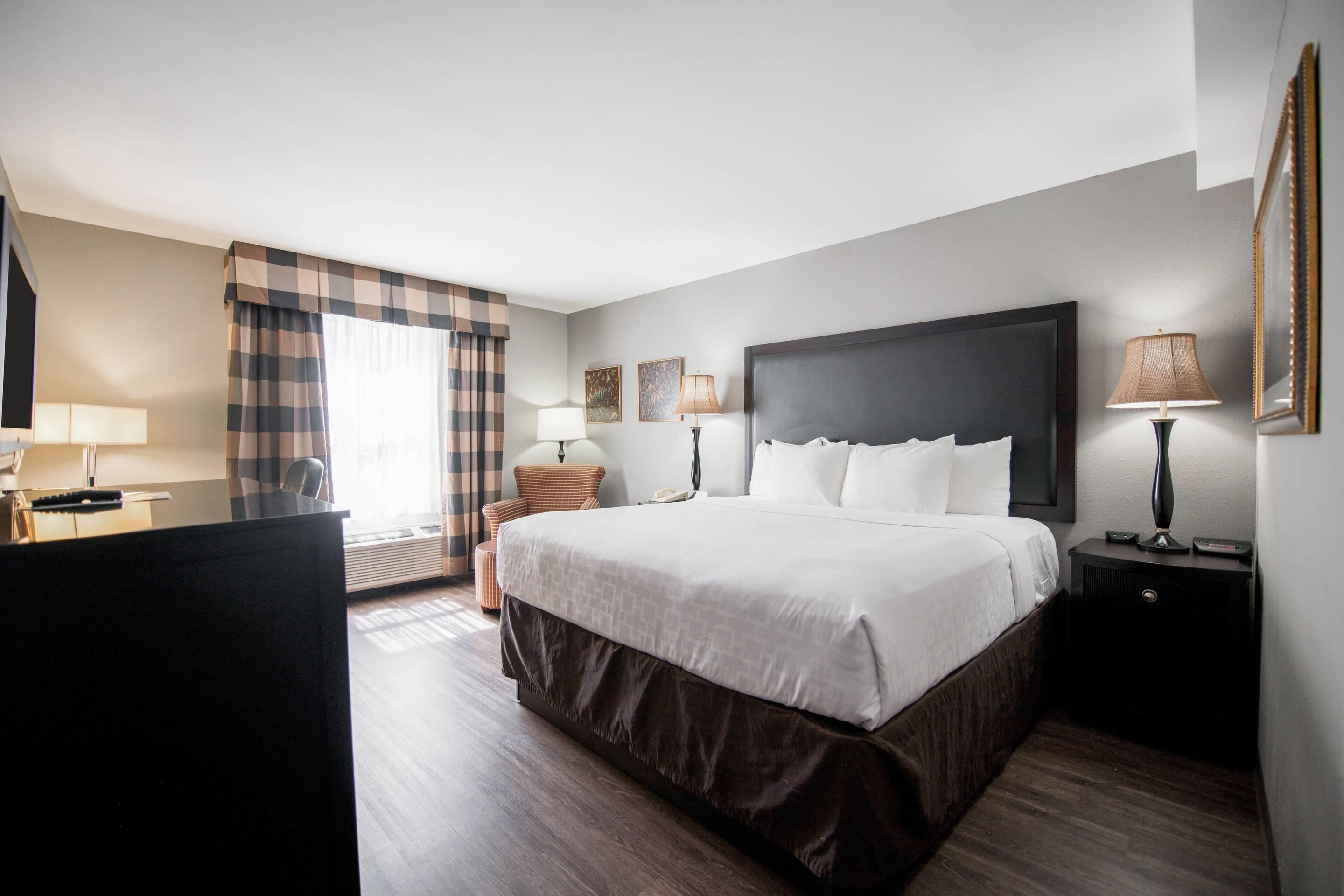 Habitación estándar, 1 cama King size y sofá cama, para no fumadores | Escritorio, espacio para trabajar con laptop y cortinas blackout 