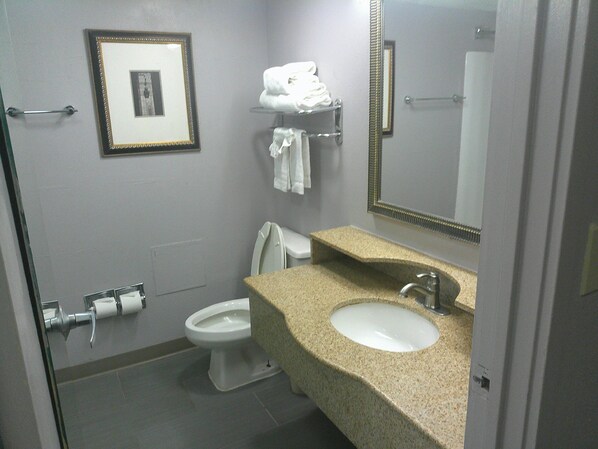 A bathroom with a toilet, sink, towel rack, framed picture, and a mirror.