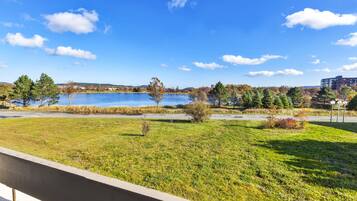 A grassy area with a lake, trees, and a building in the background.
