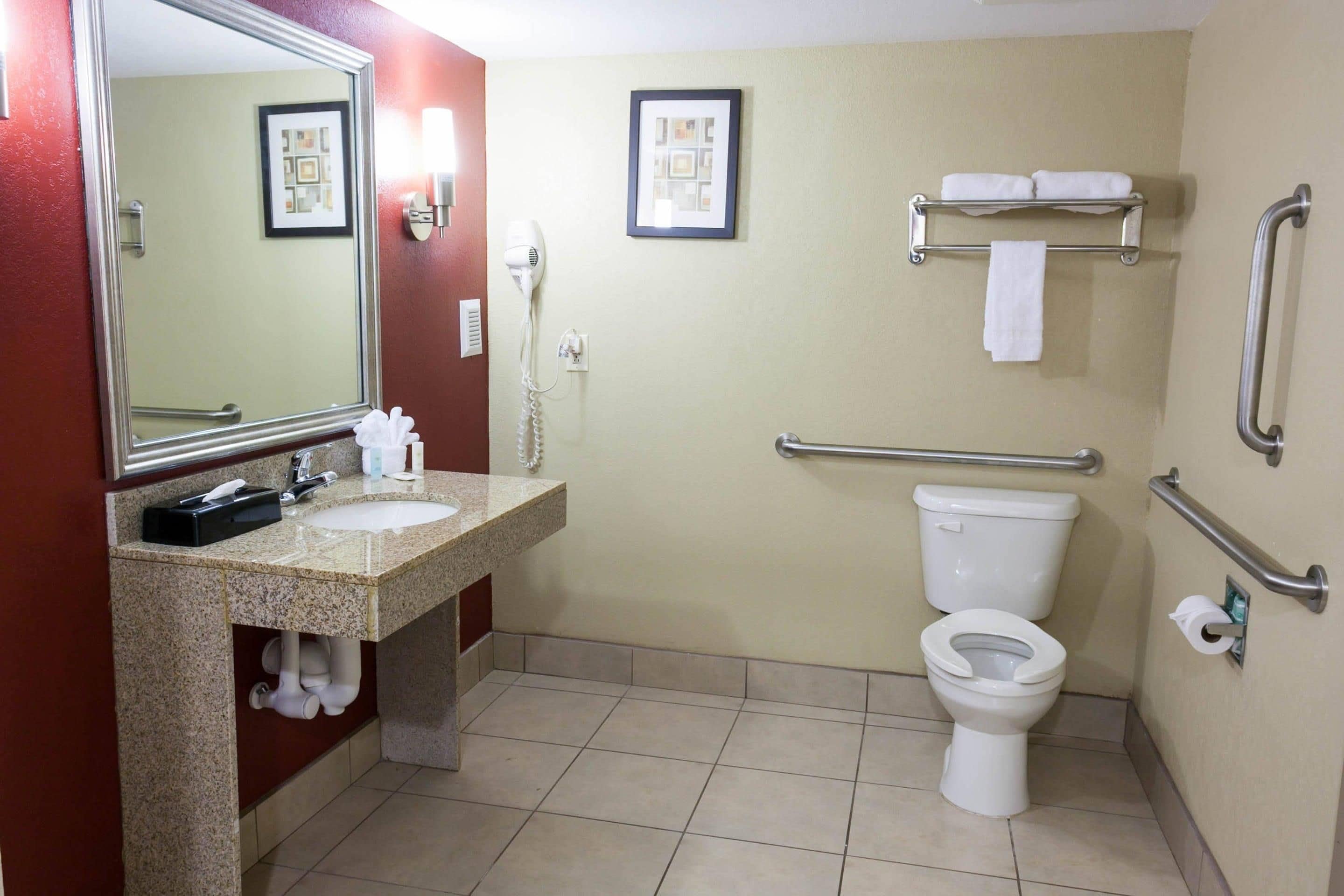 A bathroom with a sink, mirror, toilet, and handrails.