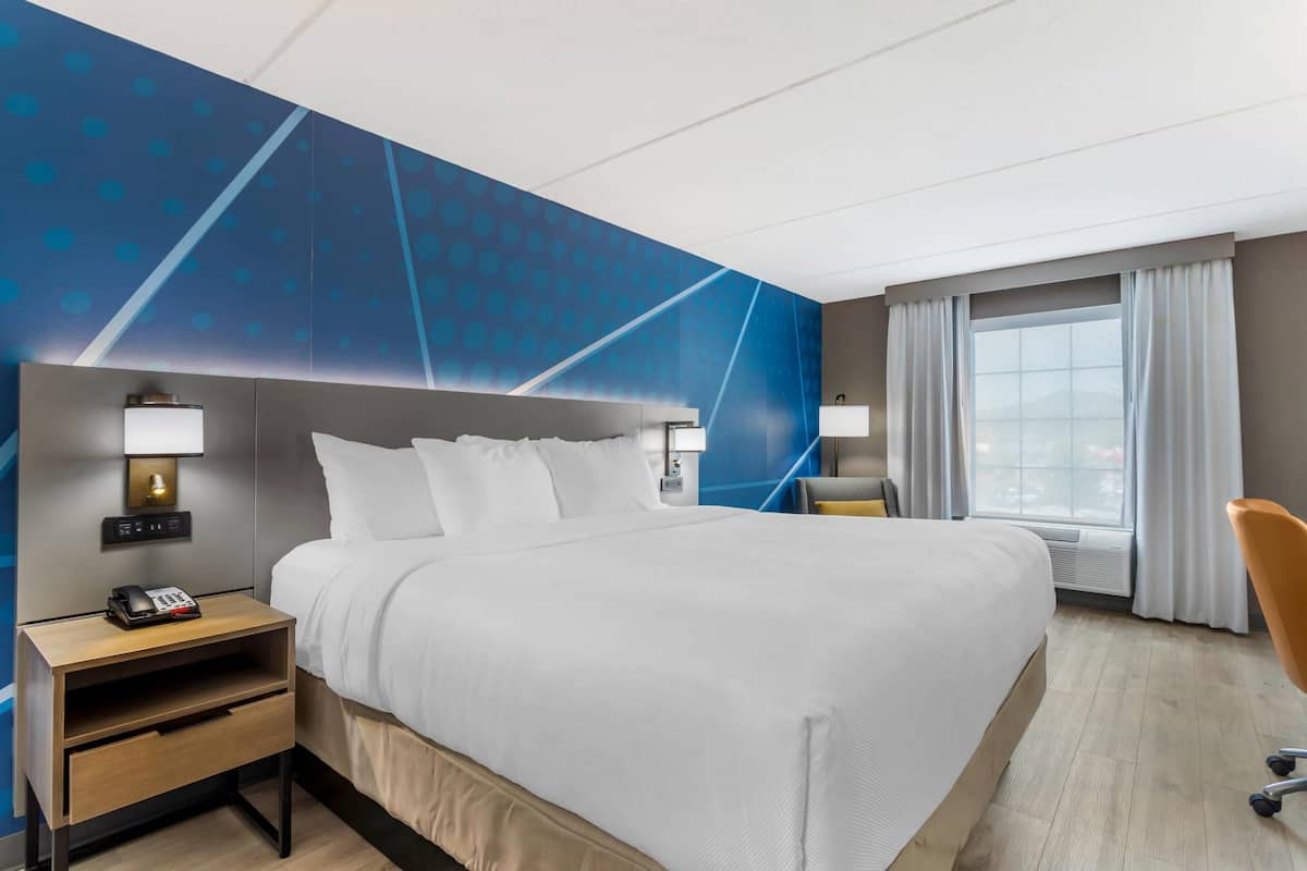 Standard Room, 1 King Bed, Non Smoking | Down comforters, desk, blackout drapes, iron/ironing board