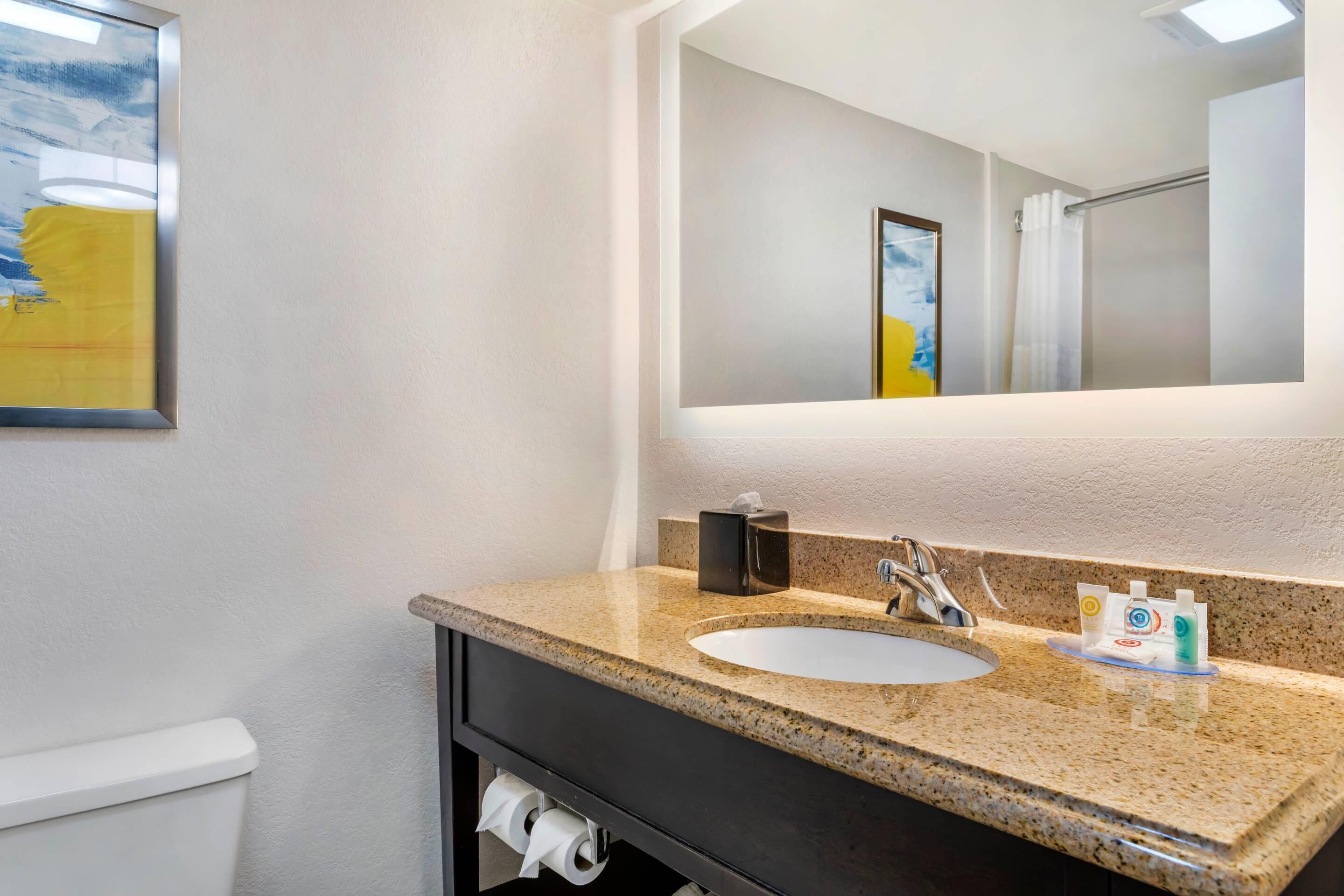 standard room, 1 king bed, non smoking | down duvets, desk, blackout curtains, iron/ironing board