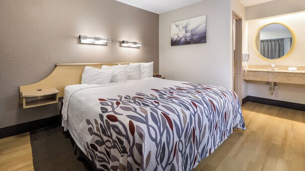 A hotel room with a bed, bedside table, wall-mounted lights, a painting, and a bathroom with a mirror and sink. - Red Roof Inn Rockford East – Casino District (Rockford)