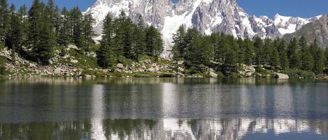 A mountain lake with reflections, surrounded by evergreen trees and rocky terrain.