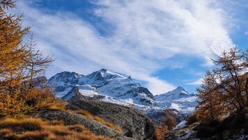 Eine Berglandschaft mit schneebedeckten Gipfeln und herbstlich gefärbten Bäumen.
