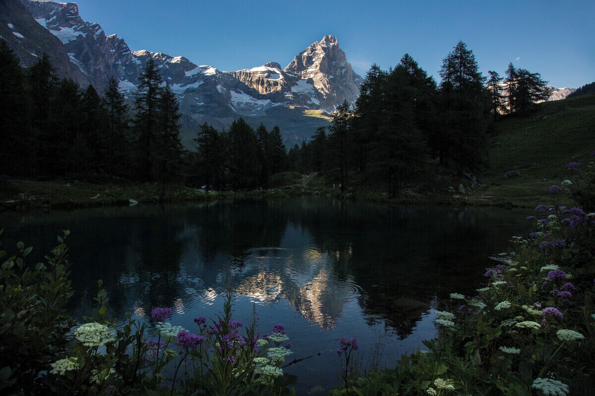 A mountain landscape with a lake, trees, and flowers.