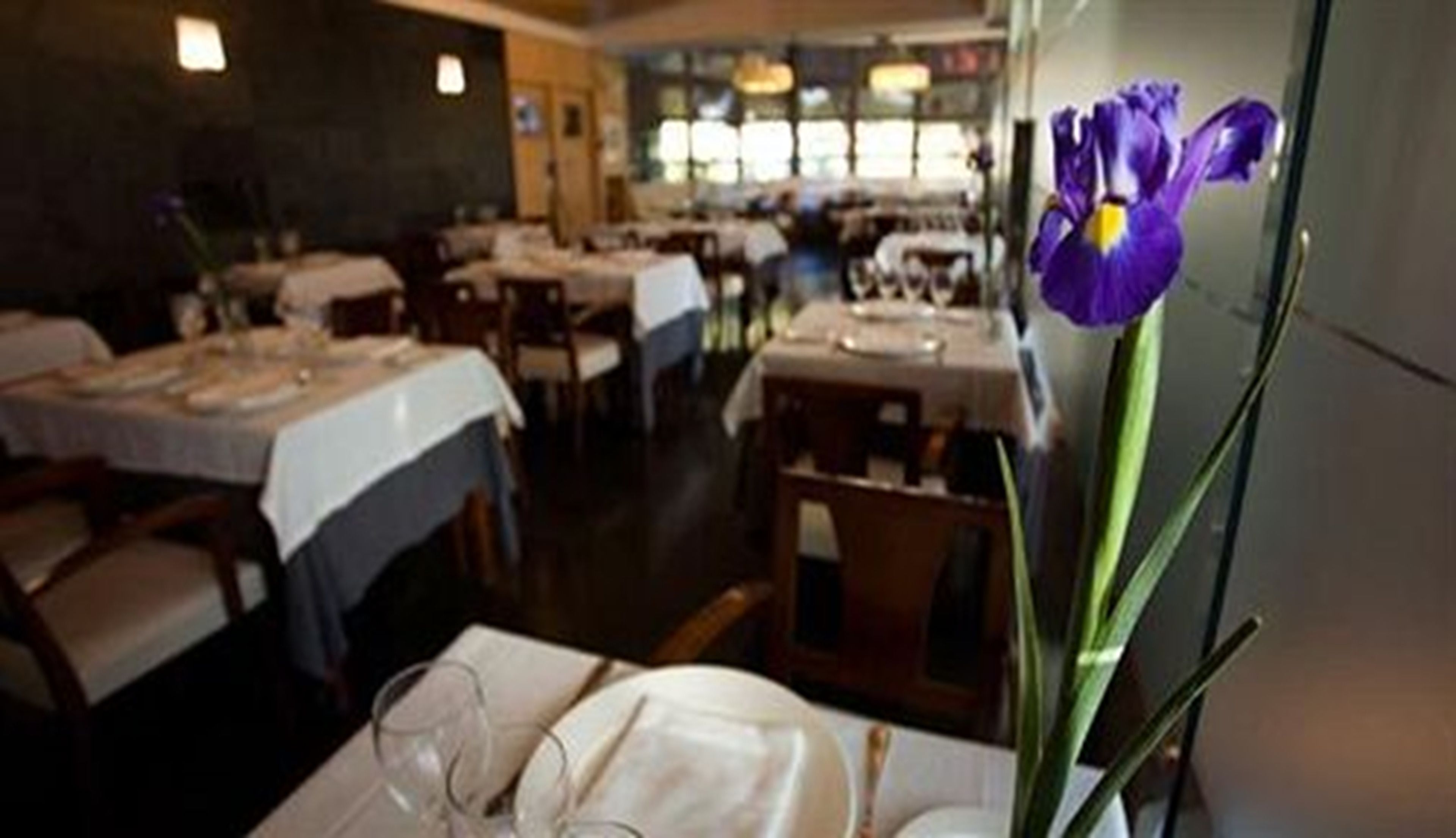 A restaurant with tables set for dining, a vase with a purple flower, and a view of the street outside.