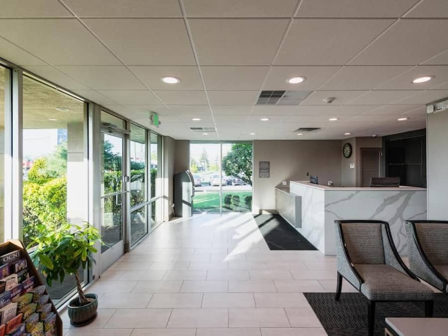 En reception med skrivebord, stole, en potteplante og udsigt til det frie.