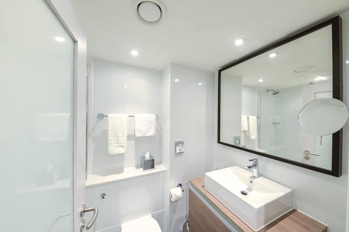 combined shower/bathtub, free toiletries, hair dryer, towels