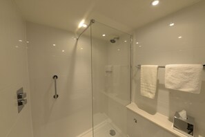 Combined shower/tub, free toiletries, hair dryer, towels