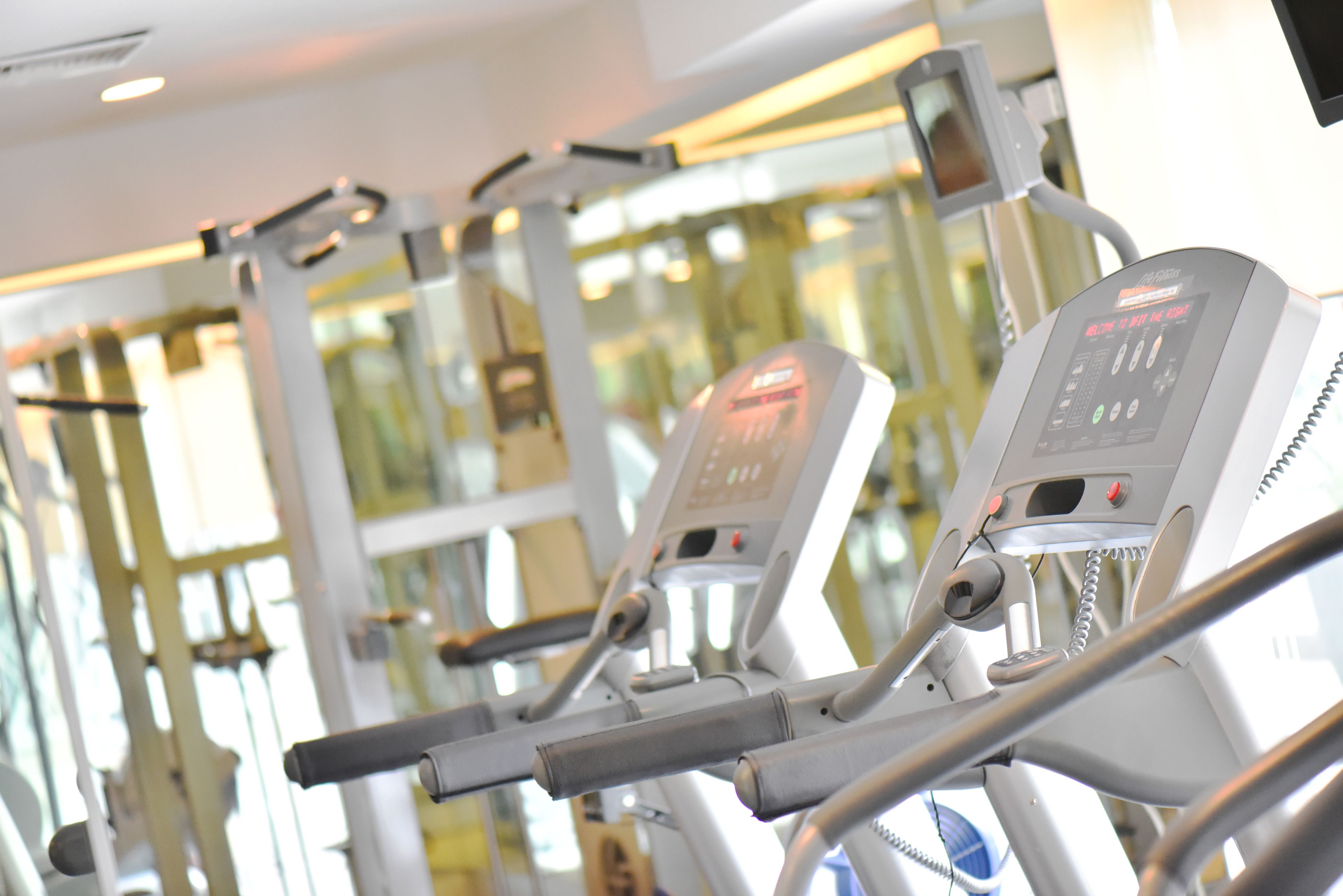 Una hilera de bicicletas estáticas en un gimnasio con grandes ventanales al fondo.