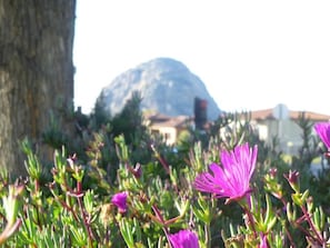 Terrain de l’hébergement