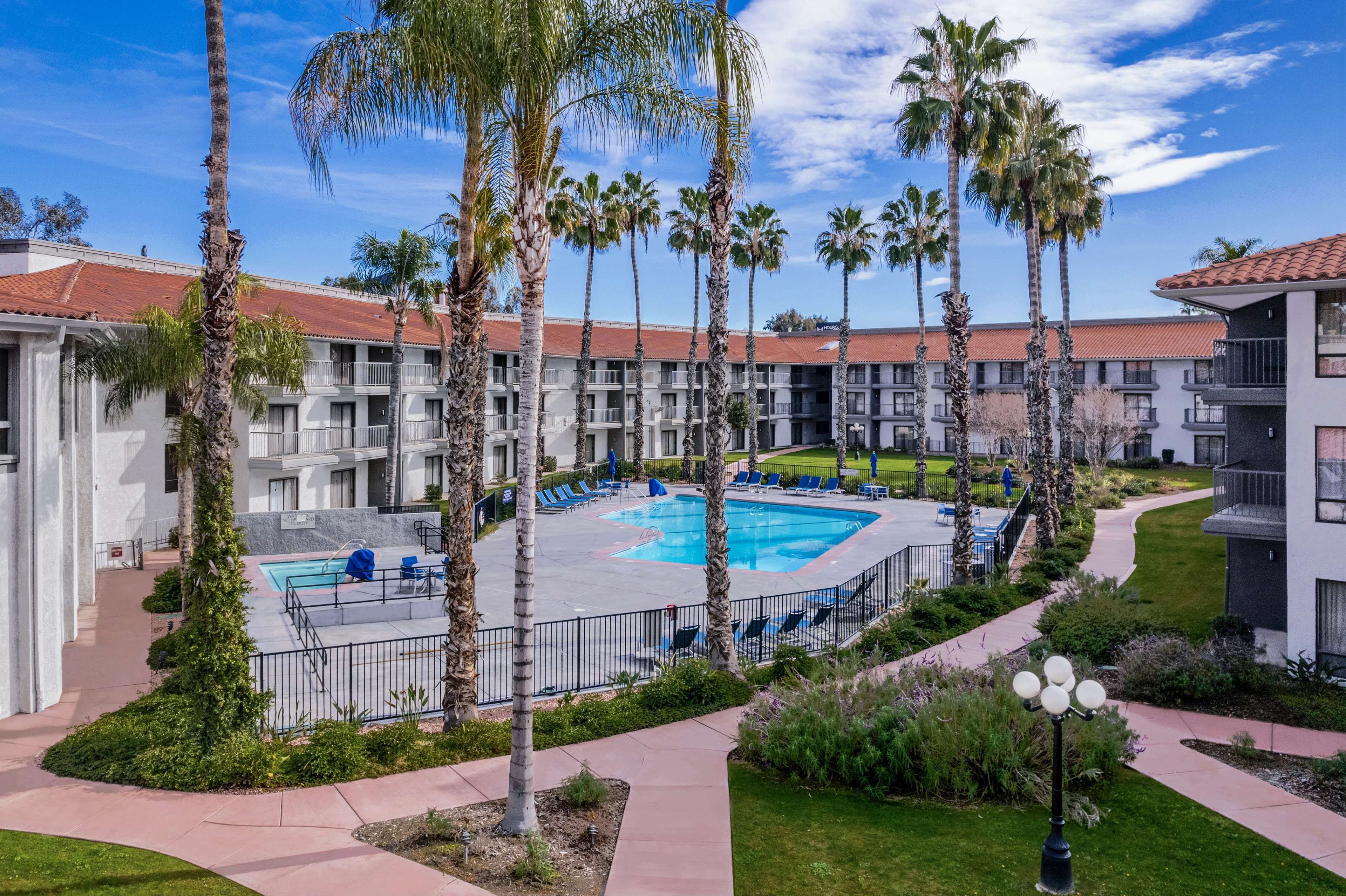 室外游泳池，池畔遮阳伞，日光浴躺椅