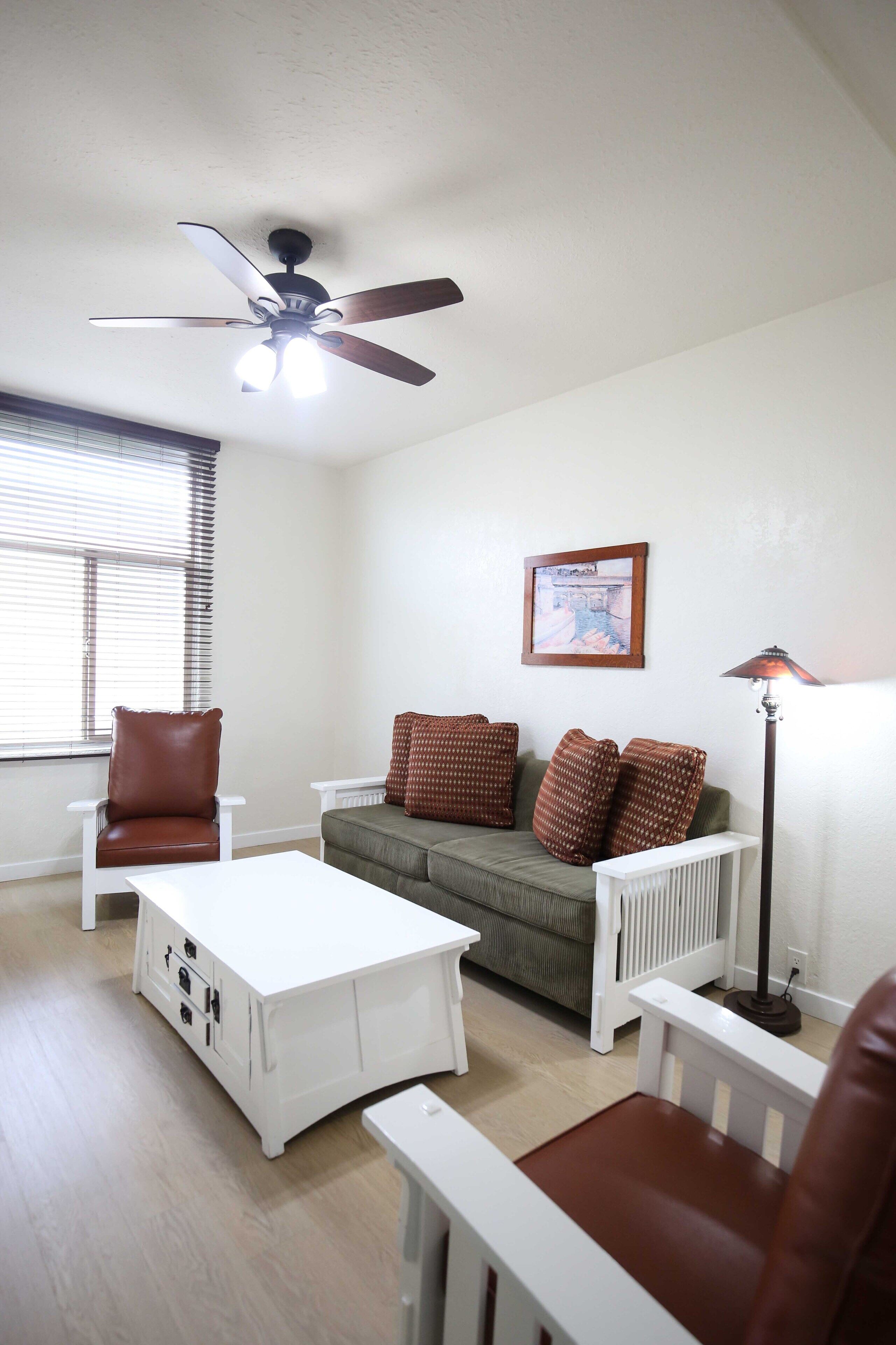 40-inch LCD TV with satellite channels, TV