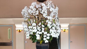 A lobby with a large floral arrangement in a dark vase, a round table, and a patterned rug. - Hotel Carmel (Santa Monica)