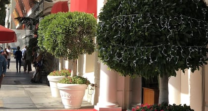 Hotel Carmel