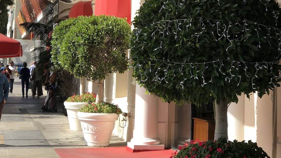 Hotel Carmel